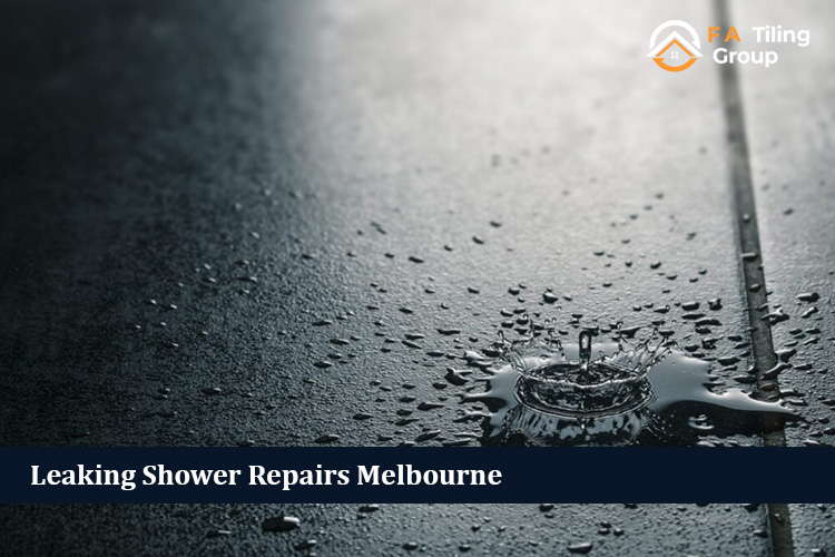 Leaking Shower Repairs Melbourne